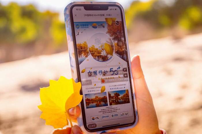 5G+智慧旅游VR 沉浸在家赏胡杨