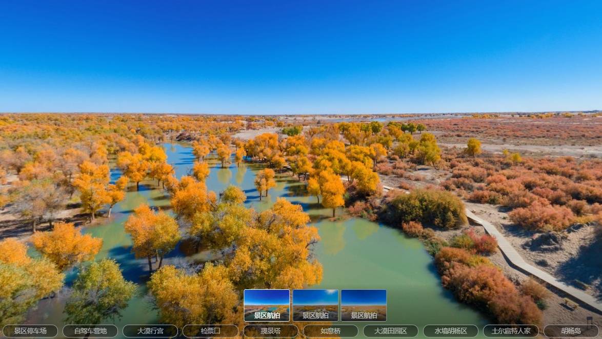 5G+智慧旅游VR 沉浸在家赏胡杨